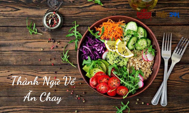 Những quan điểm hay về việc ăn chay